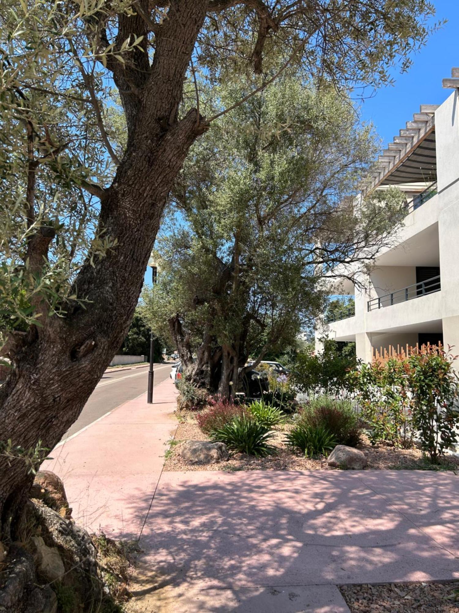 Sognu Di Serena - Superbe Appartement Avec Parking Gratuit Sur Place Porto-Vecchio  Eksteriør billede